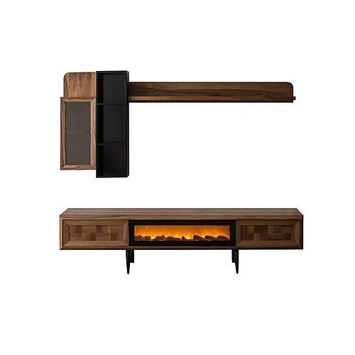 Arya TV Unit