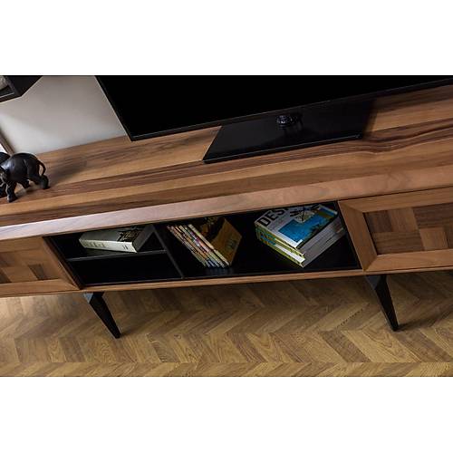Arya TV Unit