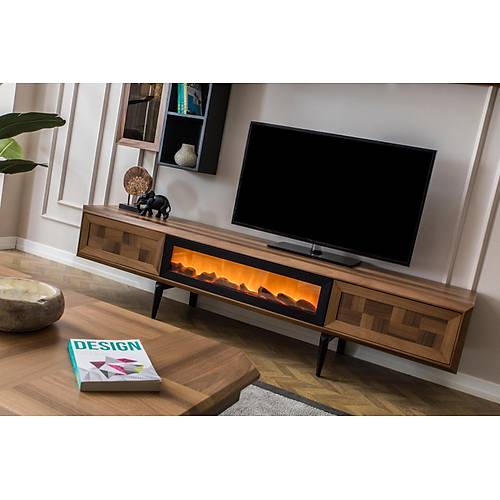 Arya TV Unit