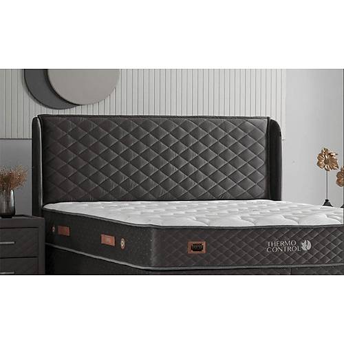 Thermo Control Bed