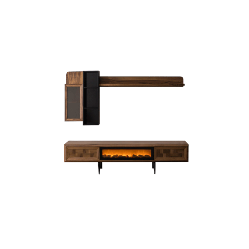 Arya TV Unit