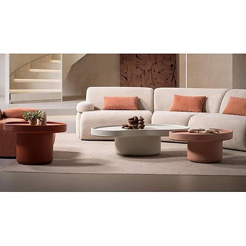 Kidney Coffee Table - Big