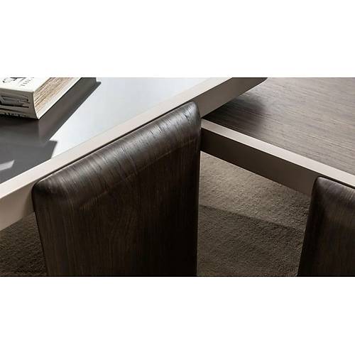 Orca Coffee Table