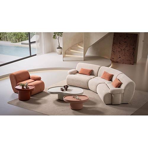 Kidney Coffee Table - Big