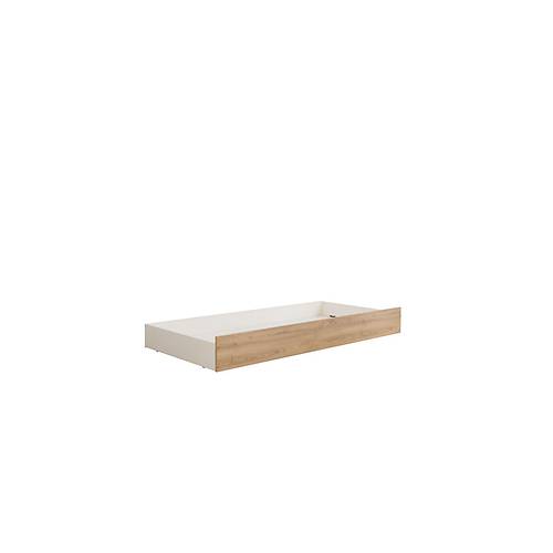 Trend Montessori