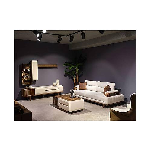 Monza TV Unit