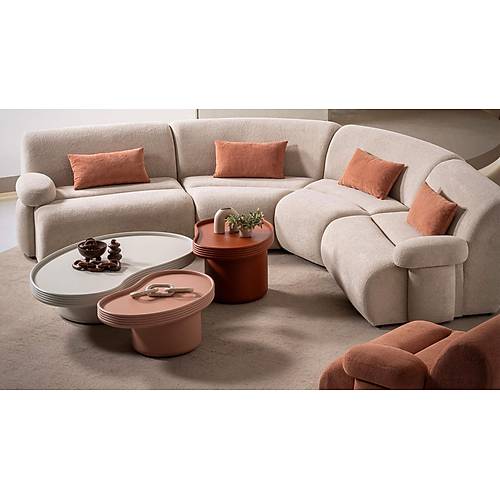 Kidney Coffee Table - Big