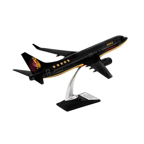 Boeing 737-800 1/100 Ölçek Klasik Aslan Tasarımlı Siyah Maket Uçak