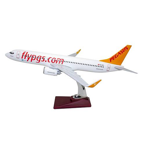 Pegasus 737-800 1/100 lek