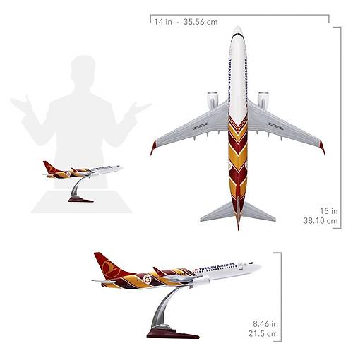 Boeing 737-800 1/100 - Galatasaray Klasik Model Uak