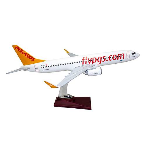 Pegasus 737-800 1/100 lek