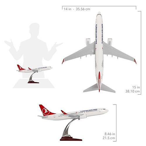 Boeing 737-800 1/100 - Thy Tasarml Model Uak