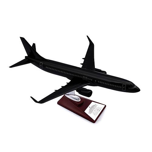 Maket Uak - Boeing 737-800 1/100 - SYAH ZEL TASARIM Model Uak