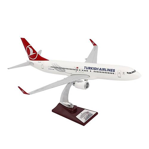 Boeing 737-800 1/100 - Thy Tasarml Model Uak