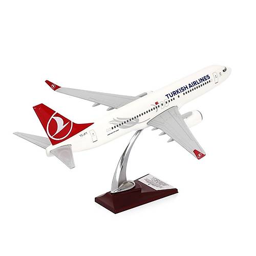 Boeing 737-800 1/100 - Thy Tasarml Model Uak