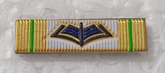 Mesleki İhtisas DOKTORA Şerit Rozeti -Yeni Model
