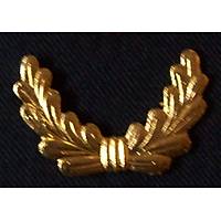 M�d�r Apolet Defnesi