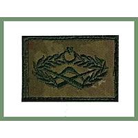 TSK Yeni Renk Kamuflaj Komando Temel E�itim Br�vesi C�rtl�