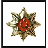 Bek�i Yaka Rozeti T�rk Bayrakl� Nikel Kaplama