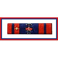 Harekat �erit Rozeti (1.nci Defa Alanlar) Yeni Model