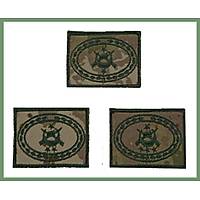 TSK Yeni Renk Kamuflaj Astsubay K�ta Hizmet E�itim Br�vesi C�rtl�