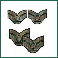 Kara Kuvvetleri Yard�mc� Astsubay (Ast�avu�)R�tbeleri E�itim Kamuflaj