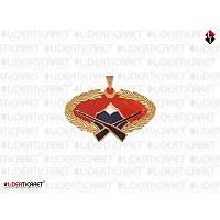 Jandarma Komando Br�vesi Yeni Model