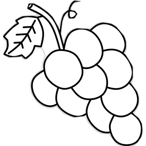 Beyza hanm zel retim kalp