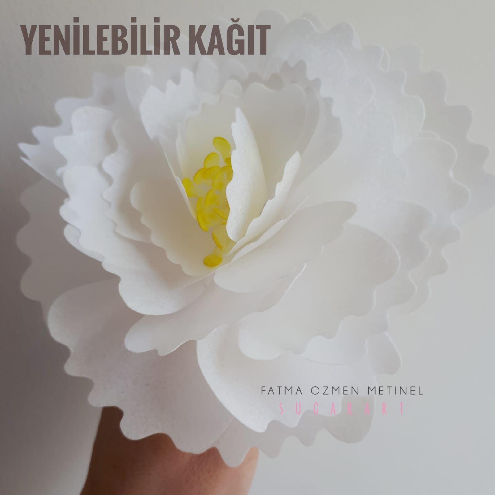 Yenilebilir Kağıt Hazır Çiçek Şakayık