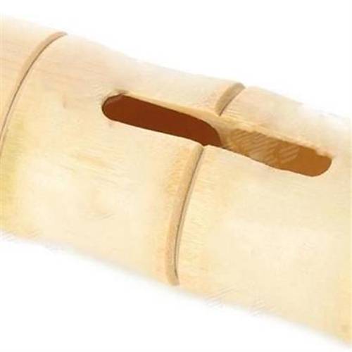 BUFFER 6 x 1 cm Girili Klfl Bambu Aac Akustik Ses Ykseltici Aparat