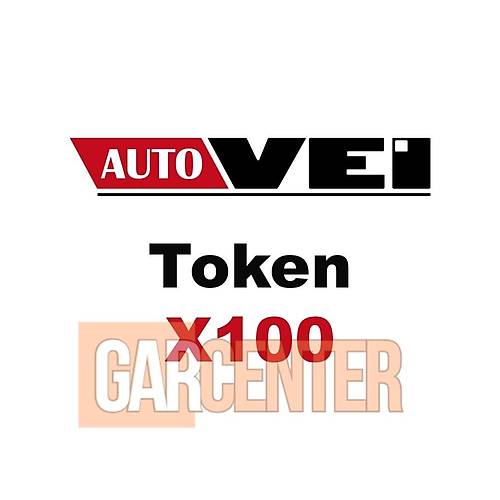 AutoVEI Truck Explorer 100 Jeton creti