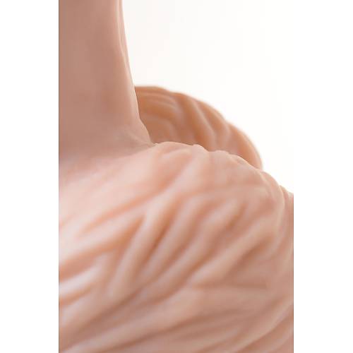 LoveToy 26 cm Realistik Dev Dildo  Ten Renkli 7,5 cm Kalnlnda Byk Boy Cinsel rn
