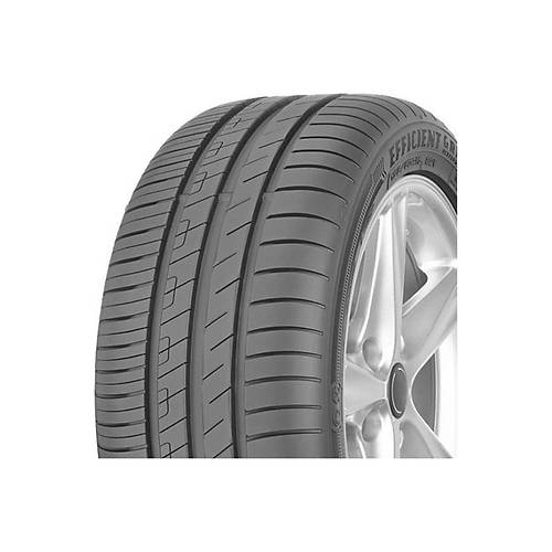 205/55R17 91V EfficientGrip Performance (4 Kanal)