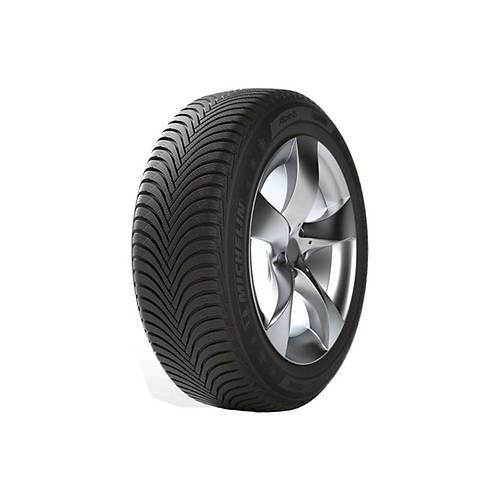 205/60R16 92V ZP Alpin 5