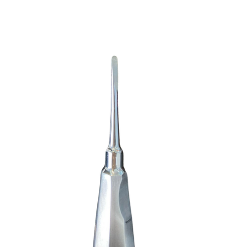 Rabbit kk elevatr uzun 5 mm