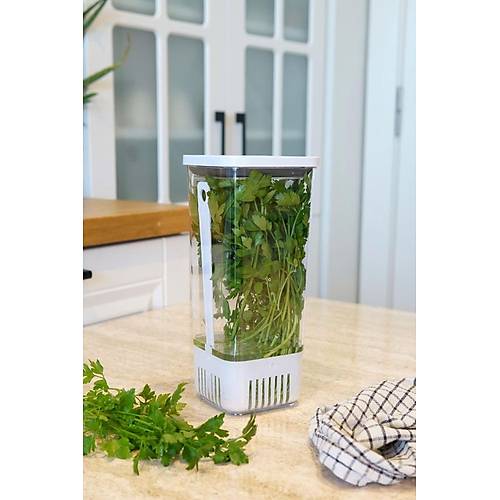 Technow Vip Ahmet VP-007 Suda Yeillik Saklama Kab 1700 ML