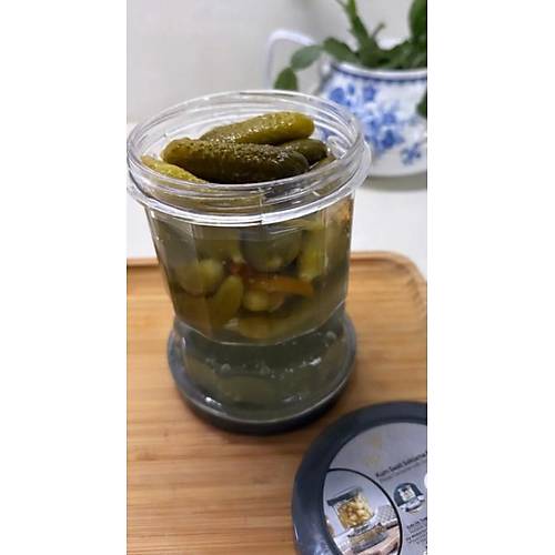 Vip Ahmet VPS-023 Sulu Peynir Zeytin ve Turu Saklama Kab 500 ml