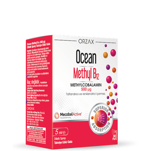 OCEAN METHYL B12 500 MCG SPREY 5 ML
