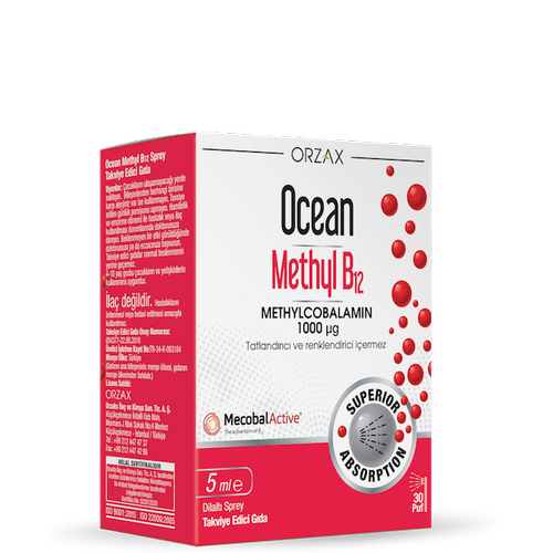 OCEAN METHYL B12 1000 MCG SPREY 5 ML