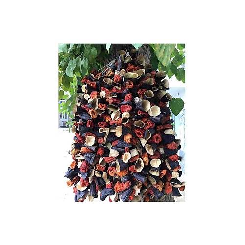 Ful Kar���k Dolmal�k  Nazilli Kurusu Patl�can-Kabak-Biber 1'rer Dizi Yeni Mahsul