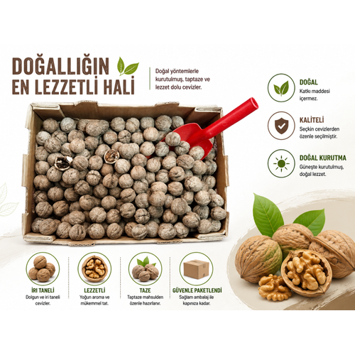 Yerli Ata Tohumu Topak Cinsi Ya�l� Kabuklu Ceviz 1 KG