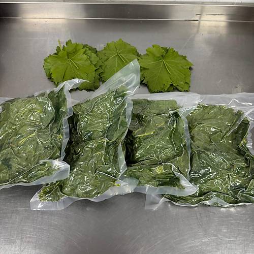 Asma Yapra Taza Yeni Sezon(ekirdeksiz Sultaniye zm Yapra) 500 gr.