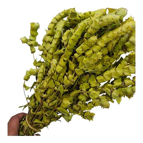 Anamur Adaay Demet (150 gr/35-40 Adet)