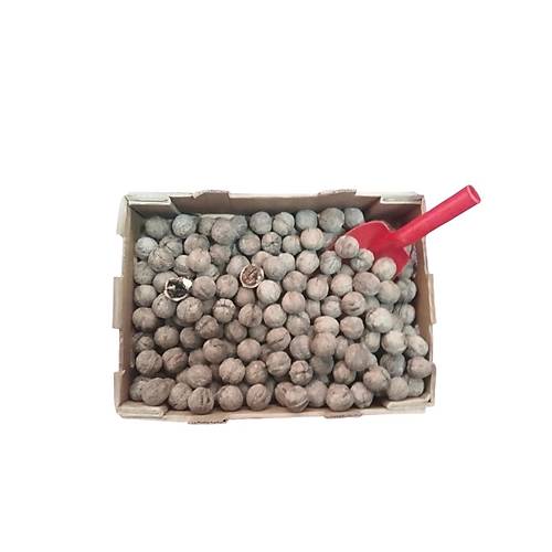 Yerli Ata Tohumu Topak Cinsi Ya�l� Kabuklu Ceviz 1 KG