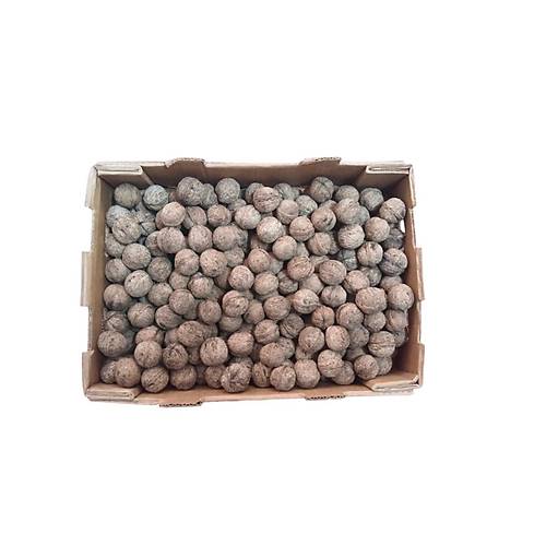 Yerli Ata Tohumu Topak Cinsi Ya�l� Kabuklu Ceviz 1 KG
