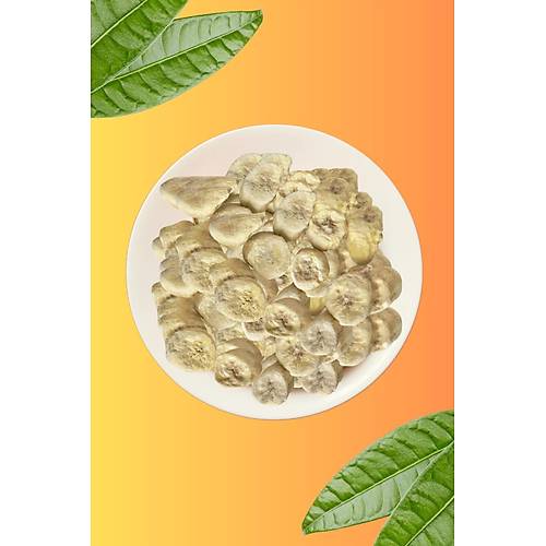 Freezya Freeze Dried Dondurularak Kurutulmu Muz - 20 gr