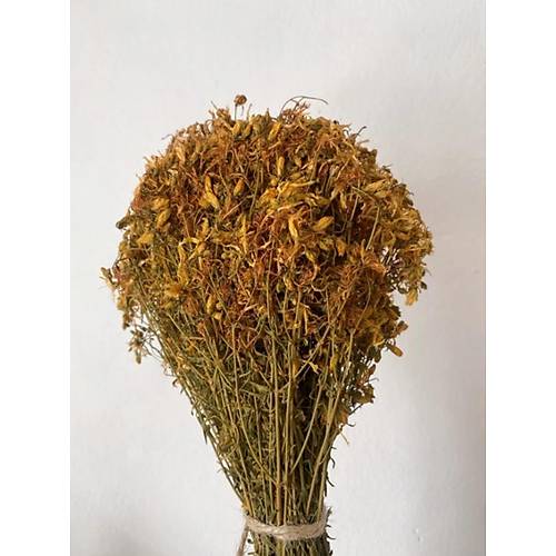 Sar� Kantaron Demeti (Yabani Kantaron Demeti) 100 gr