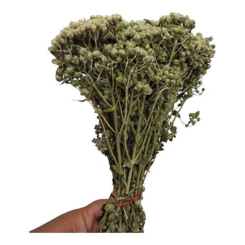 Doal Da Kekii Demet (Bilye Demet Kekik)