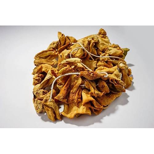 Nazilli Dolmal�k Kabak Kurusu 10 Dizi