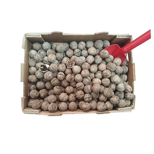 Yerli Ata Tohumu Topak Cinsi Ya�l� Kabuklu Ceviz 1 KG